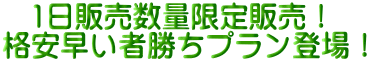 �@1���̔����ʌ���̔��I �i�������ҏ����v�����o��I